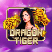 Dragon Tiger BingGo live casino icon